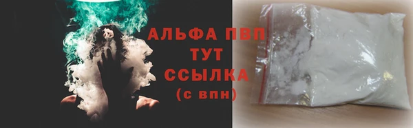 PSILOCYBIN Навашино