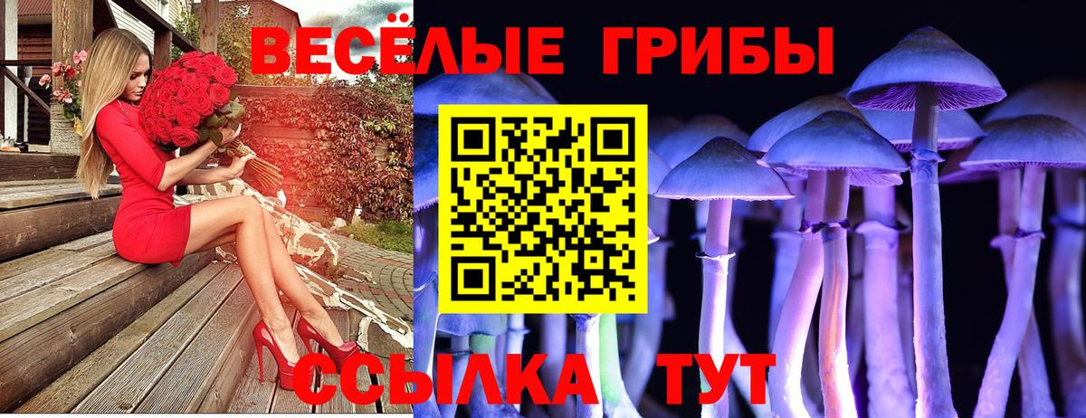 наркота  Галлюциногенные грибы прущие грибы  Ишимбай  Вход с VPN  Псилоцибиновые грибы MAGIC MUSHROOMS 