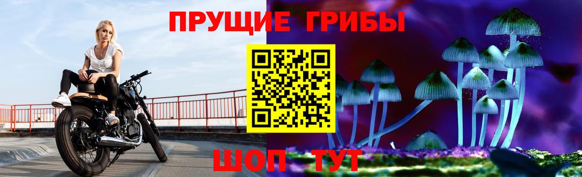 сколько стоит  Ишимбай  Псилоцибиновые грибы MAGIC MUSHROOMS 